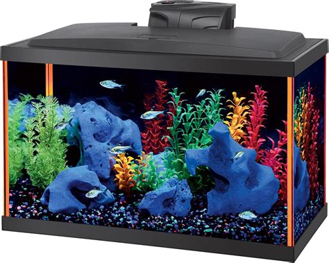 Aqueon Fish Neoglow Led Aquarium Starter Kits Amazonca Pet Supplies