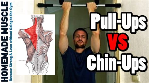 Chin Ups Vs Pull Ups Differences In Muscle Activation And