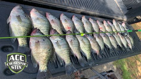 How To Catch Limits Of Crappie In The Summer Summer Crappie Fishing