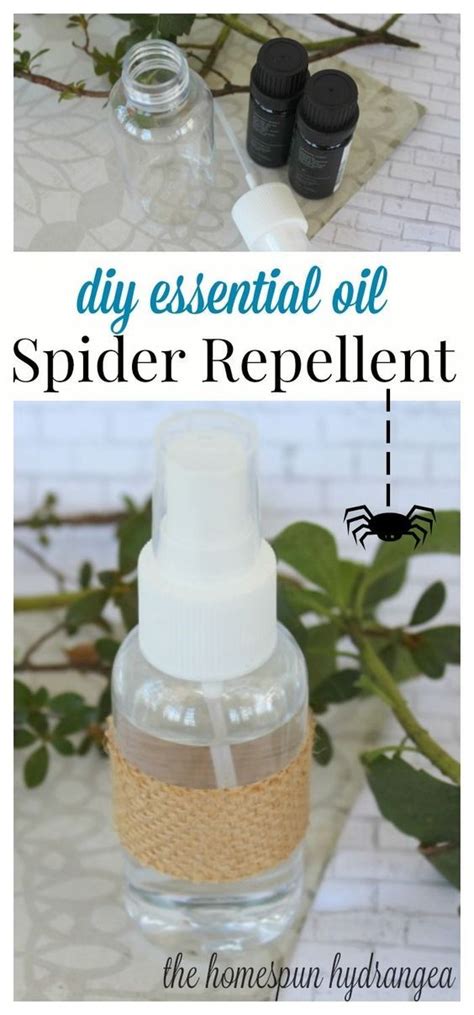 Scared Of Spiders Try This Diy Essential Oil Spider Repellent Spray