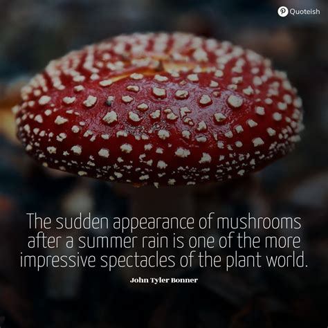 20 Mushroom Quotes Quoteish