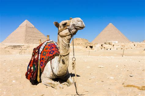 Poznaj Największe Zabytki Starożytnego Egiptu Stylpl