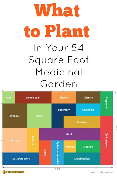 54 Square Foot Medicinal Garden Plan Organic Vegetable Garden