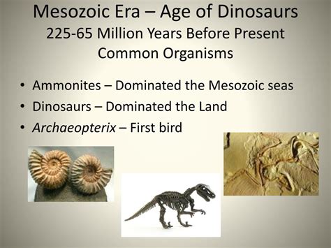 Ppt Geologic Time Line Organisms Powerpoint Presentation Free