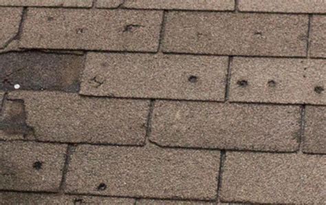 Signs Of Hail And Wind Damage On Your Roof Storm Damage