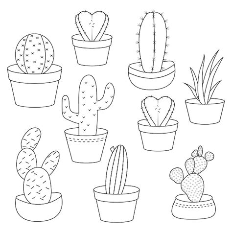 Premium Vector Cactus Line Art