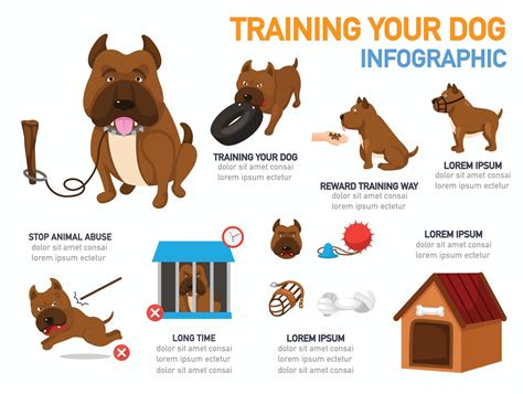 Training Your Dog Infographicvector Illustration 2894454 Vector Art
