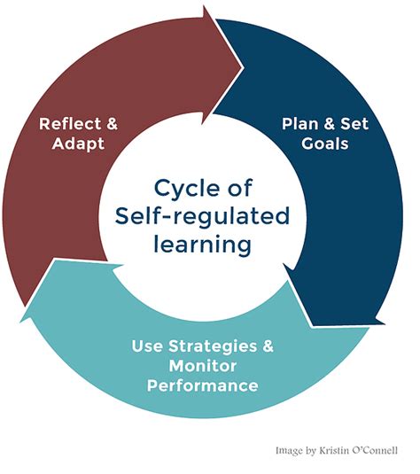 Self Regulated Learning V Self Paced Learning Connecting Data To