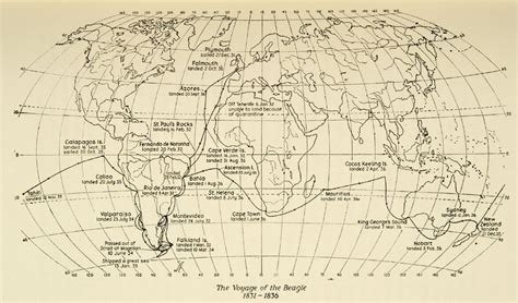 Data Deluge Charles Darwins Voyage On The Beagle