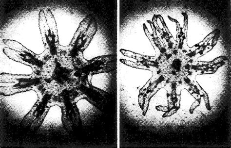 Kapal angkasa lepas ini telah berjalan sejauh 122 juta batu dalam sembilan tahun perkhidmatannya. Senarai 10 penumpang kapal angkasa yang bukan Manusia ...