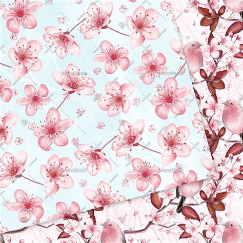 Cherry Blossom Digital Papers Digital Paper Cherry Blossom Drawing