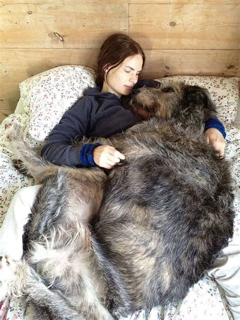 Lucky Is The Girl Who Is With This Beautiful Girl Large Dog Breeds