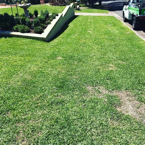 Dec 07, 2020 · over time, your lawn mower can develop problems and not function properly. How To Repair Your Drought Damaged Lawn