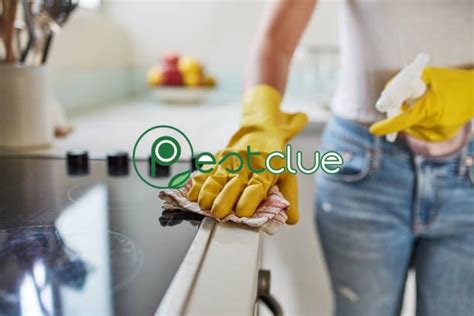Keep Your Home Healthy With These Great Tips Pestclue