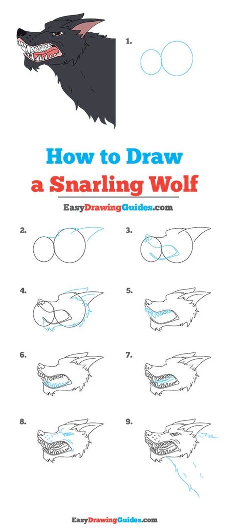 How To Draw A Snarling Wolf Really Easy Drawing Tutorial Wolf