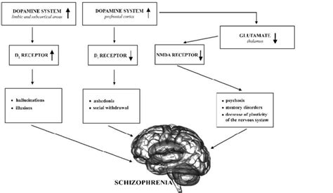 Dopaminergic And Glutamatergic System Abnormalities In Schizophrenia
