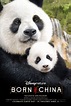 Carteles de la película Born in China - El Séptimo Arte