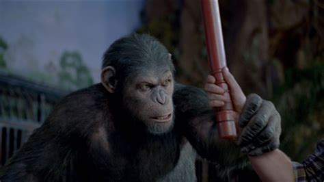 Rise Of The Planet Of The Apes 2 Sequel Release Date Collider