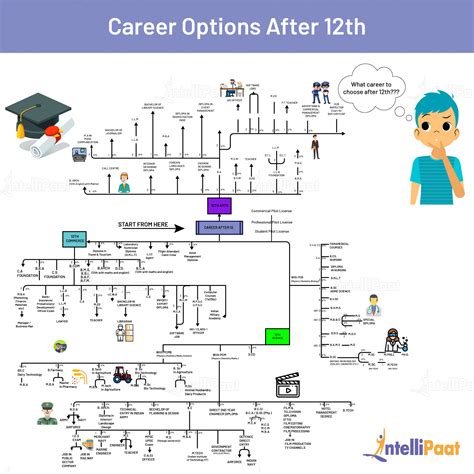 Top Career Options After 12th What Courses To Do