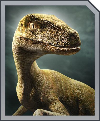 Velociraptor Jurassic World Alive Wiki Fandom