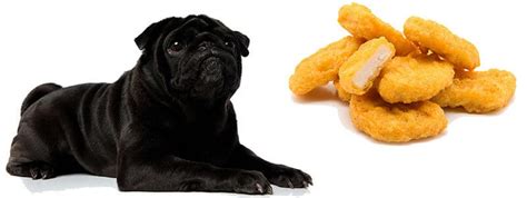 To attain the mysterious shape of the mcnugget, using a meat grinder is the easiest option. Can Pugs Eat Chicken Nuggets? What You Need To Know
