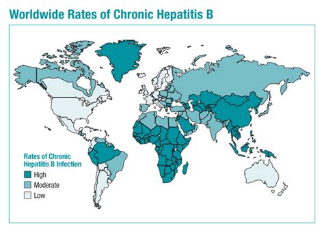 Get rs.75 cashback on booking an appointment at portea. HBV - Home