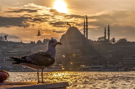 Turcja Paszport Czy Dow D Osobisty Na Dow D