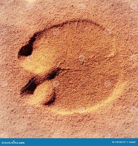 Footprint Of A Camel In The Sand Of The Sahara In Sudan Stock Image