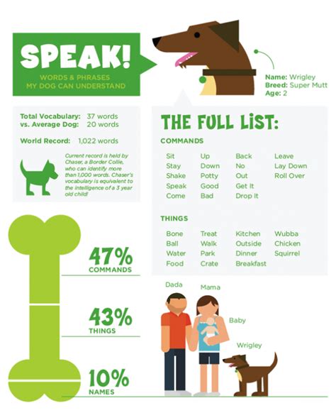 Speak Words And Phrases My Dog Understands Infographic Puppies Tips