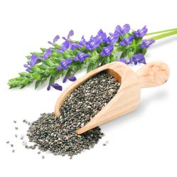 ••• kelebihan chia seed sangat bermanfaat kepada kesihatan tubuh terutamanya bagi ibu yang sedang hamil. Ini Kebaikan Chia Seed Dan Khasiat Anda Perlu Tahu, Sangat ...