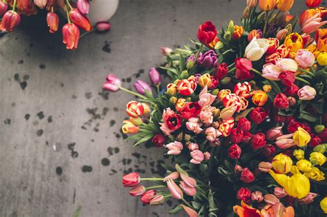 15 Wonderful Hd Flower Bouquet Wallpapers