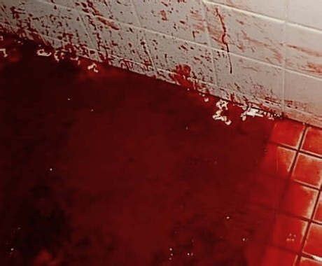 heavy wip about blood on the dance floor, also known by their abbreviated name botdf, was an american electropop band, its most however despite the previous criticism, jeffree star would later make amends with dahvie vanity, with jeffree having a credited feature on the group's 2014 song. Image by 𝖐𝖆𝖙𝖎𝖆 on bohemian bloodbath in 2020 | Blood drip ...