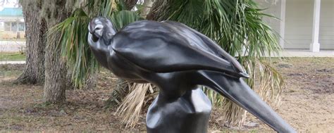 The Extinct Carolina Parakeet Florida State Parks