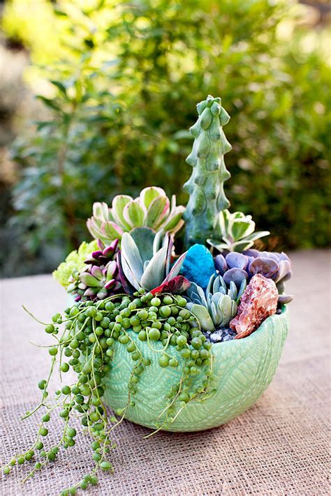 Make The Perfect Potted Succulent Garden Succulents In Containers