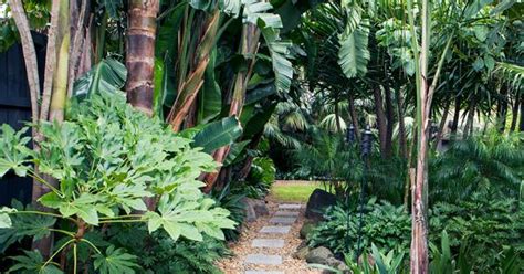 Another thing to keep in mind: A tropical garden in the heart of Melbourne | Australian ...