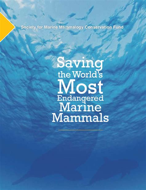 Smm Conservation Fund Society For Marine Mammalogy