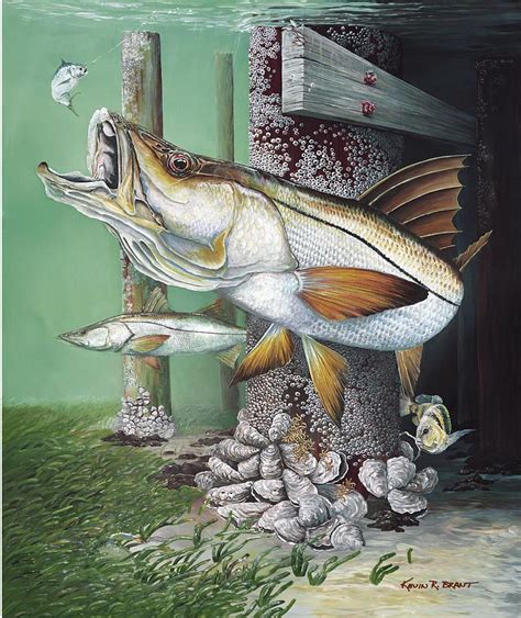 Snook Art Snook Drawing Jumping Homefield Advantage By Kevin Snook