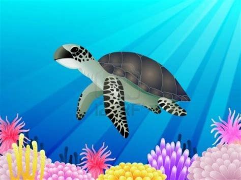Free Download Green Sea Turtle Hd Wallpaper Choice Wallpaper 950x534