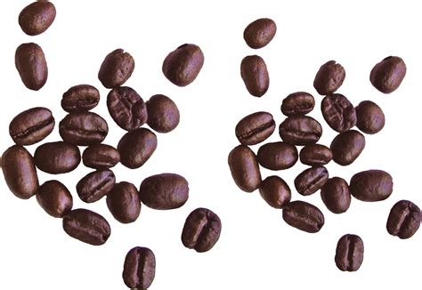 download coffee beans png image for free