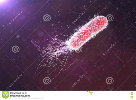 Pseudomonas Aeruginosa De La Bacteria Stock De Ilustración