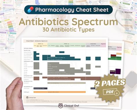 Antibiotics Spectrum Cheat Sheet Pharmacology Nursing Etsy