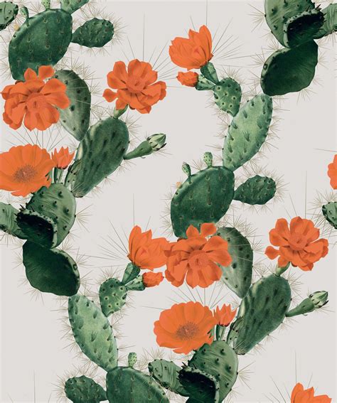 Alluring Cactus Wallpaper Bold Bright Cacti Design Milton And King
