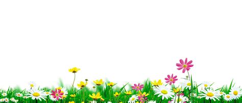 Tổng Hợp 999 Background Png Nature Cực đẹp Chất Lượng Cao