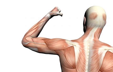 4 Exercises For Relieving Shoulder Stiffness