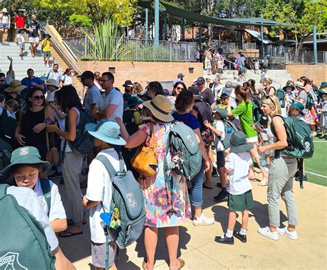 Home Lane Cove Public School Parents And Citizens Association