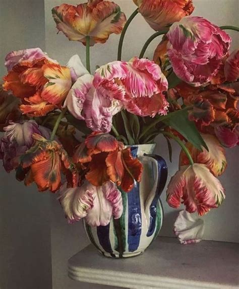Parrot Tulips Credit Sammcknight1 Instagram In 2020 Lucinda