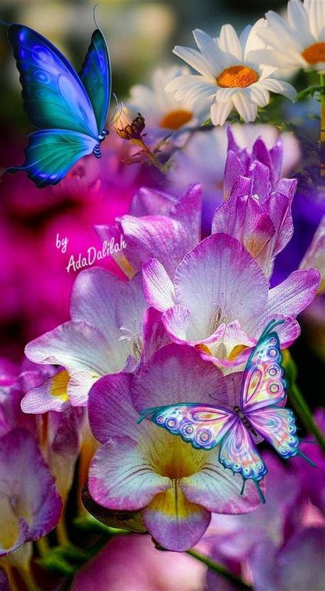Bellezas De Salma🌺 Butterfly Wallpaper Backgrounds Beautiful
