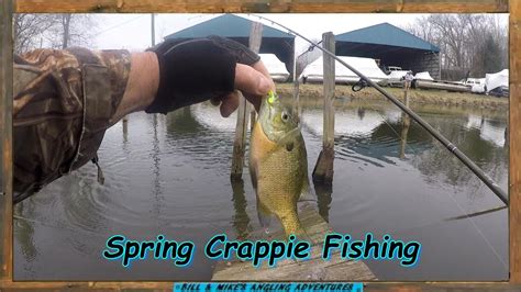Shore Fishing Spring Crappie Caught Bluegills Youtube
