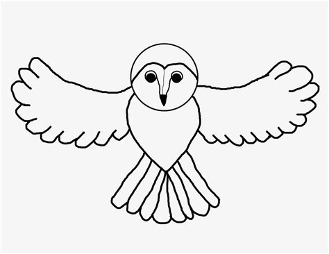 Drawing Snowy Owls Savvy Teaching Tips