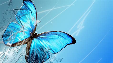 Blue Butterfly Hd Wallpaper 70 Images